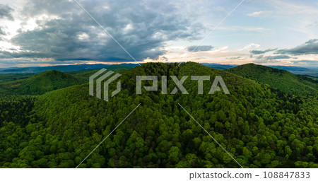 Aerial wide panoramic view of dark mountain hills covered with green mixed pine and lush forest in evening. 108847833