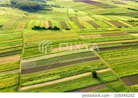 Aerial view of green agricultural fields in spring with fresh vegetation after seeding season on a warm sunny day. Aerial view of green agricultural fields in spring with fresh vegetation after seeding season on a warm sunny day. 108848282