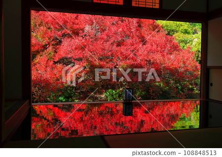 [兵庫縣] 但馬安國寺的紅葉 108848513