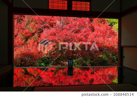 [兵庫縣] 但馬安國寺的紅葉 108848514