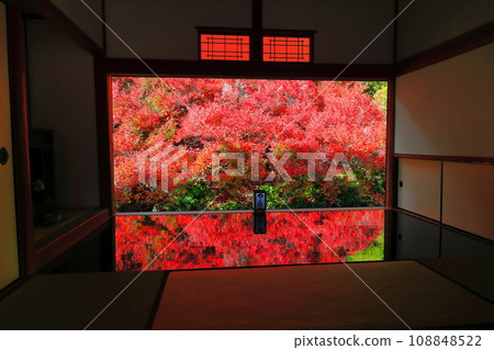 [兵庫縣] 但馬安國寺的紅葉 108848522