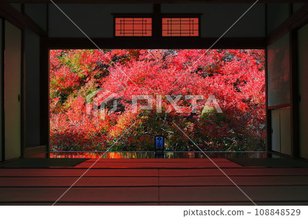 [兵庫縣] 但馬安國寺的紅葉 108848529