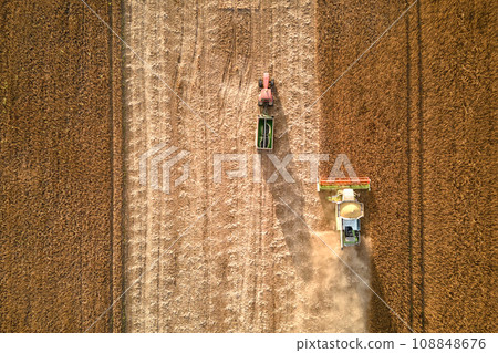 Aerial view of combine harvester and cargo trailer working during harvesting season on large ripe wheat field. Agriculture and transportation of raw grain concept 108848676