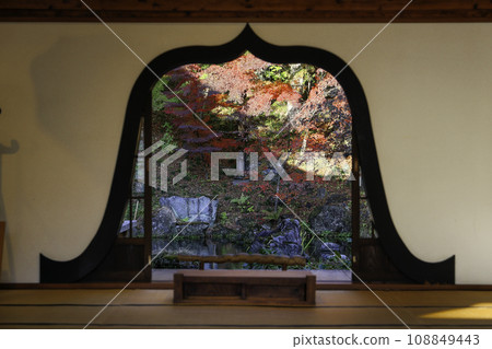 Autumn leaves from the flower head window 108849443