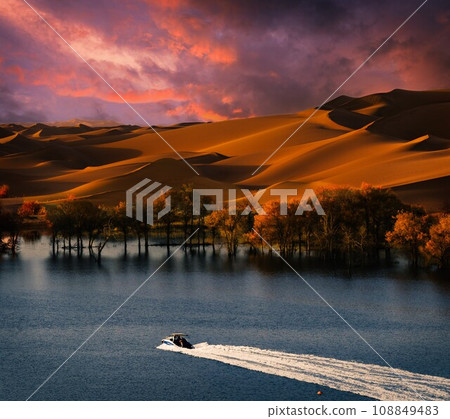 沙漠湖泊和胡杨 沙漠湖泊和胡杨 108849483