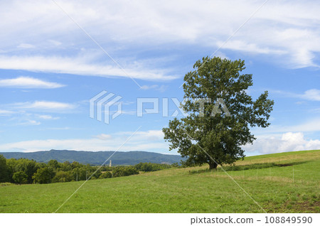 北海道美瑛丘陵（藍天綠草） 108849590