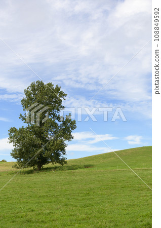 北海道美瑛丘陵（藍天綠草） 108849592