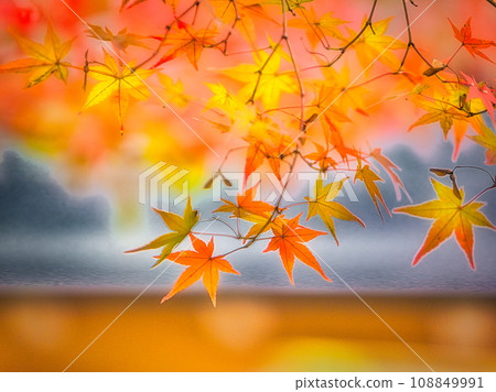 秋意漸深,寺內紅葉遍地。 秋意漸深,寺內紅葉遍地。 108849991