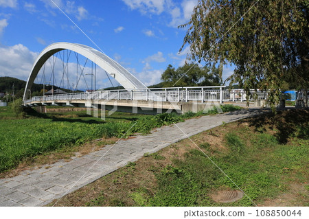 Nakatsugawa Bridge (Morioka City) 108850044