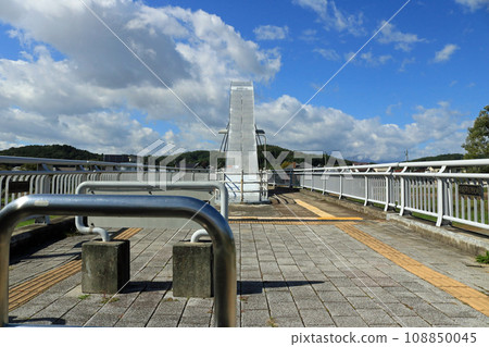 Nakatsugawa Bridge (Morioka City) 108850045
