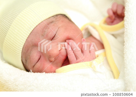 He was just born, but he already has claws and is dangerous! He was just born, but he already has claws and is dangerous! 108850604