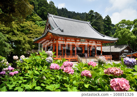 大長山勝王寺（正殿及繡球花）[大阪府箕面市勝王寺] 108851326