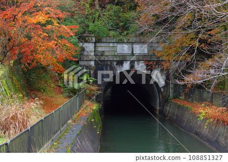 琵琶湖運河的紅葉（琵琶湖運河第2隧道） 108851327