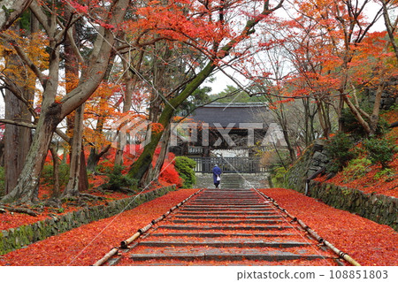紅葉的毗沙門堂門跡(京都市山科區) 紅葉的毗沙門堂門跡(京都市山科區) 108851803