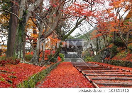 紅葉的毗沙門堂門跡（京都市山科區） 108851810