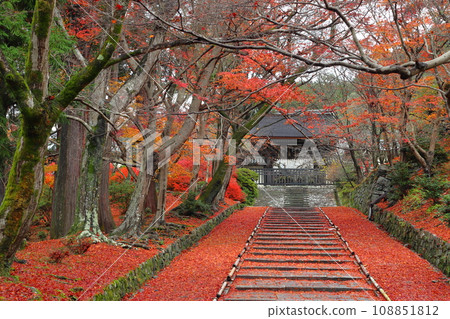紅葉的毗沙門堂門跡(京都市山科區) 紅葉的毗沙門堂門跡(京都市山科區) 108851812