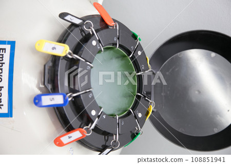 Sperm Freezing storage in liquid nitrogen tank, Laboratory infertility 108851941