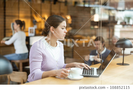 Woman spending time in cozy coffeehouse with laptop and coffee Woman spending time in cozy coffeehouse with laptop and coffee 108852115