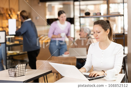 Calm woman sitting in cafe diligently doing her work on laptop Calm woman sitting in cafe diligently doing her work on laptop 108852512