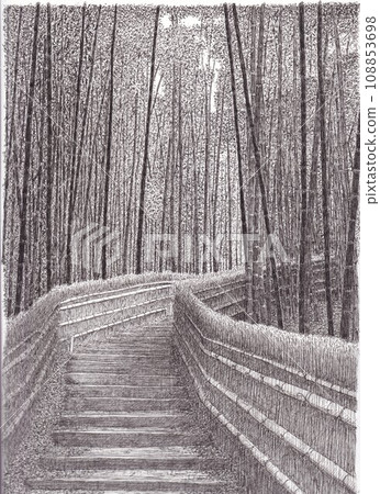  Bamboo grove 108853698