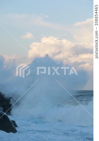 Coastline landscape devastated by strong winds 108854465