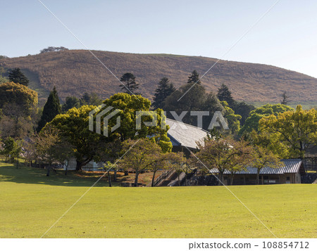早春的奈良公園春日野園地與若草山 108854712