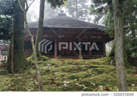 Mt. Hiei Enryaku-ji Temple West Pagoda Rain Jogyo-do Hall / Hokke-do Hall (Ninai-do Hall) 108855600