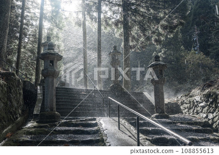 比叡山延歷寺：從西塔到東塔的參道被傾盆大雨覆蓋 108855613