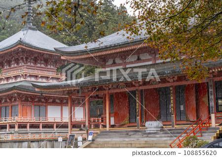 Mt. Hiei Enryakuji Temple East Tower, Amida Hall in autumn and Hokke Sojiin East Tower, first snow day Mt. Hiei Enryakuji Temple East Tower, Amida Hall in autumn and Hokke Sojiin East Tower, first snow day 108855620