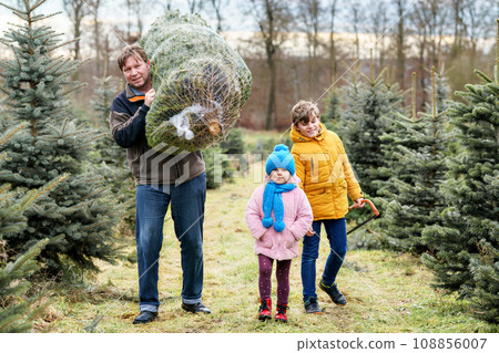 Happy family, man and two children with Christmas tree on fir tree cutting plantation. Preschool girl, kid boy and father choosing, cut and felling own xmas tree in forest, family tradition in Germany Happy family, man and two children with Christmas tree on fir tree cutting plantation. Preschool girl, kid boy and father choosing, cut and felling own xmas tree in forest, family tradition in Germany 108856007