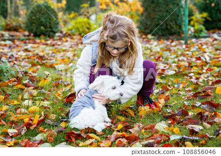 Little girl playing with her pet dog Maltese in park. Happy child and cute puppy. 108856046
