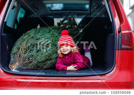 Adorable little toddler girl with Christmas tree inside of family car. Happy healthy baby child in winter fashion clothes choosing and buying big Xmas tree for traditional celebration. Adorable little toddler girl with Christmas tree inside of family car. Happy healthy baby child in winter fashion clothes choosing and buying big Xmas tree for traditional celebration. 108856086