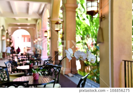 夏威夷的假期 108856275