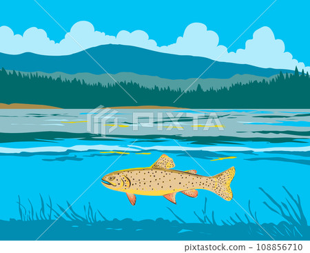 Apache Trout in Lee Valley Lake in Arizona WPA Art Apache Trout in Lee Valley Lake in Arizona WPA Art 108856710