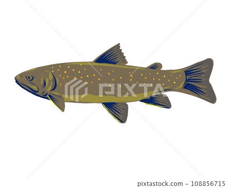 Bull Trout or Salvelinus Confluentus Side View WPA Art 108856715