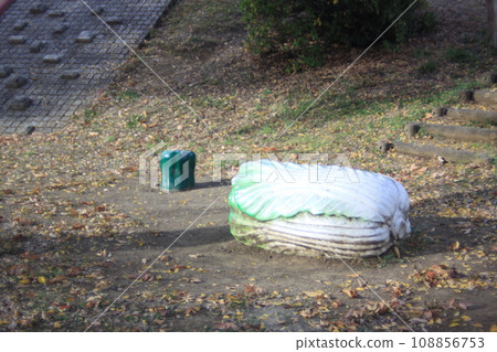Park stool Chinese cabbage 108856753