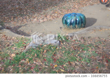 pumpkin stool in the park 108856755