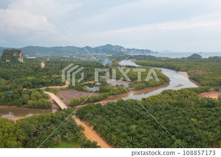 Aerial top view of a bridge with garden park with green mangrove forest trees, river, pond or lake. Nature landscape background, Thailand. Aerial top view of a bridge with garden park with green mangrove forest trees, river, pond or lake. Nature landscape background, Thailand. 108857173