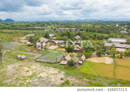 Aerial top view of a bridge with garden park with green mangrove forest trees, river, pond or lake. Nature landscape background, Thailand. 108857213