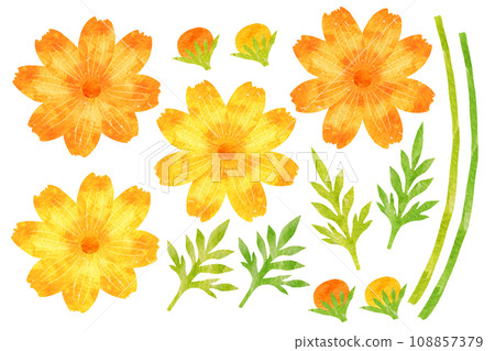  Kivanacosmos 108857379