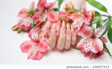 Elegant pastel pink natural manicure. 108857413