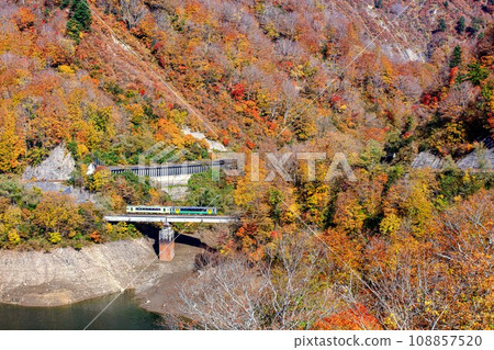 只見線，秋天穿過與印澤大橋的列車（福島縣只見町，11月初） 108857520