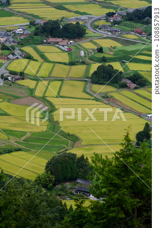 Rice terraces in Mikawachi, before harvesting, view from Mt. Triplets, autumn, golden ears of rice 108857913