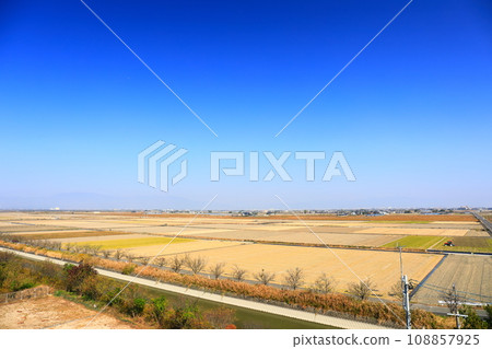 [Saga Prefecture] Clear skies in the Chikushi Plain (Saga Plain) 108857925