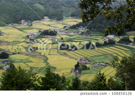 三河內的栗子和水稻梯田,收成前,從三胞胎山看,秋天,金穗稻穗 三河內的栗子和水稻梯田,收成前,從三胞胎山看,秋天,金穗稻穗 108858126