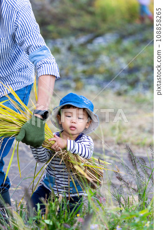 家長和孩子體驗水稻收割 108858265