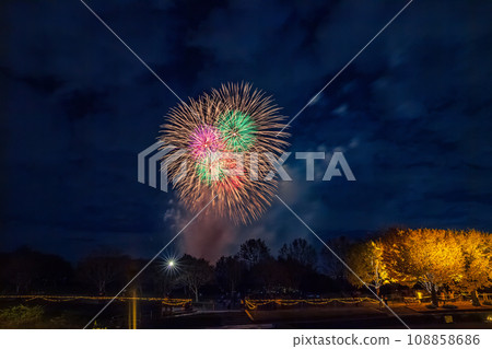 Illuminated ginkgo trees and fireworks at Showa Kinen Park 108858686