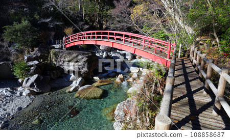 晚上森林公園 晚上森林公園 108858687