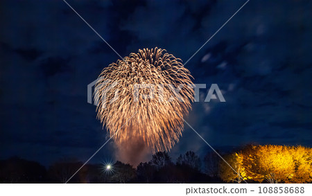 昭和記念公園的銀杏樹和煙火點亮 昭和記念公園的銀杏樹和煙火點亮 108858688