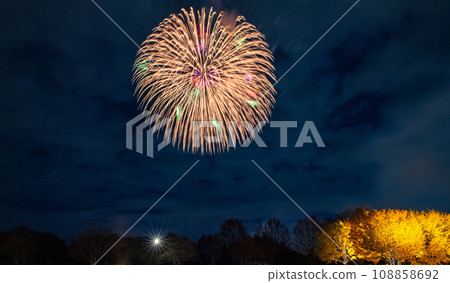 昭和記念公園的銀杏樹和煙火點亮 昭和記念公園的銀杏樹和煙火點亮 108858692
